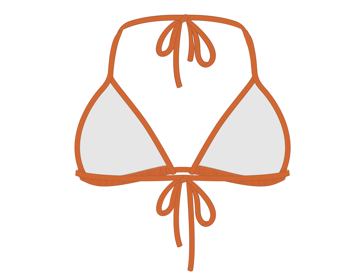 Burnt Orange Bikini Top II