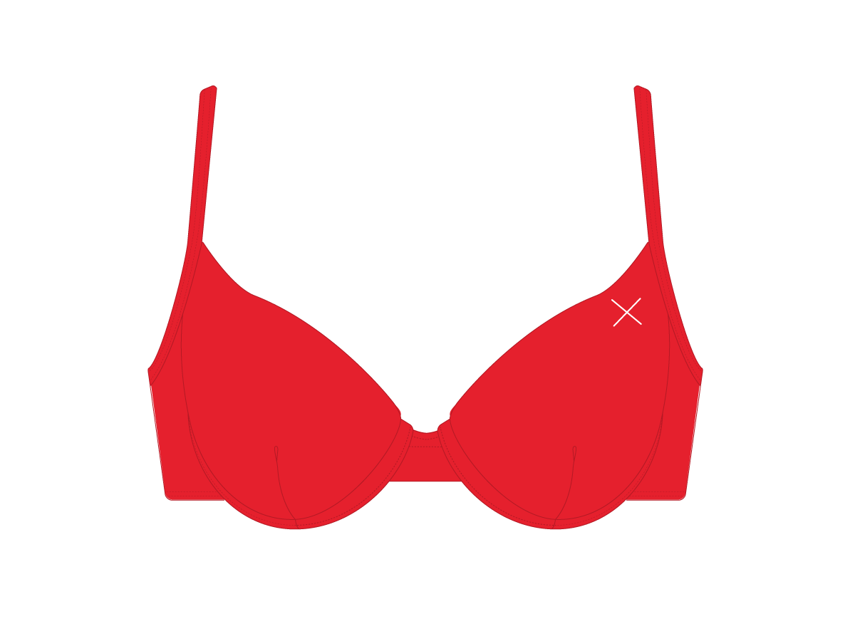 Rose Red Bustier Top