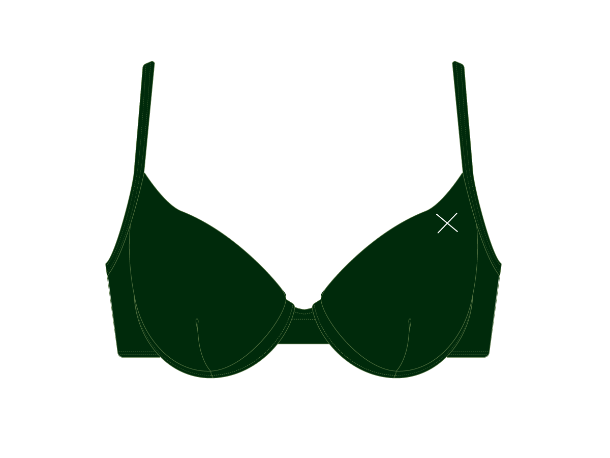 Valley Green Bustier Top